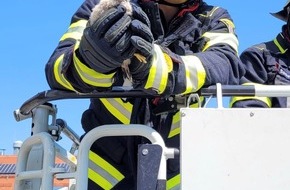 Feuerwehr München: FW-M: Turmfalkenrettung auf der Feuerwache (Milbertshofen)
