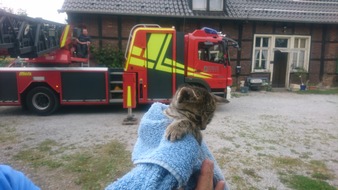 Freiwillige Feuerwehr Werne: FW-WRN: TH_Tier: Babykatze auf Dach
