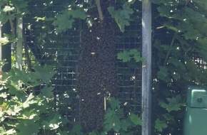 Bundespolizeidirektion Sankt Augustin: BPOL NRW: Verirrte Bienen lösen Polizeieinsatz am Bahnhof Siegen aus