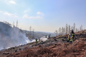 FW-OE: Erster Waldbrand für die Feuerwehr Lennestadt