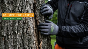 Baumpflege Kasper GmbH: Vom Befund zur Ma&szlig;nahme: Fachlich qualifizierte Inaugenscheinnahme