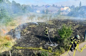 Freiwillige Feuerwehr Celle: FW Celle: Flächenbrand in der Trüllerstraße