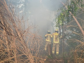 FW Menden: Waldbrand in Ostsümmern
