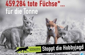 Wildtierschutz Deutschland e.V.: Stoppt die Hobbyjagd - jetzt in Rheinland-Pfalz und in Brandenburg