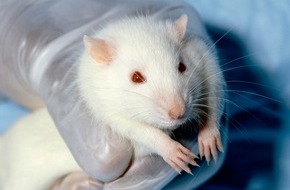 Schweizer Tierschutz STS: Auf der Suche nach Alternativen / Tierversuchstagung Schweizer Tierschutz STS