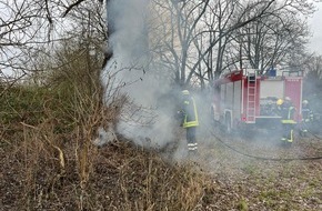Freiwillige Feuerwehr Celle: FW Celle: Aufwendige Löscharbeiten bei Baumbrand in Cellr