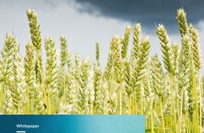 Fraunhofer-Institut für Produktionstechnologie IPT: Whitepaper: Fraunhofer zeigt Handlungsempfehlungen für resiliente Wertschöpfungsketten in der Lebensmittelproduktion auf