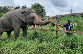 VIER PFOTEN - Stiftung für Tierschutz: QUATRE PATTES rend visite à l’ancien «éléphant le plus solitaire du monde»