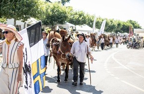 graubündenVIVA AG: Von Graubünden über Uri und Wallis nach Vevey im Kanton Waadt / Erfolgreicher Einzug der Säumergruppe an der Fête des Vignerons