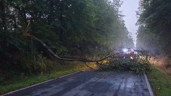 Freiwillige Feuerwehr Werne: FW-WRN: TH_1_B: Baum auf Wesselerstraße