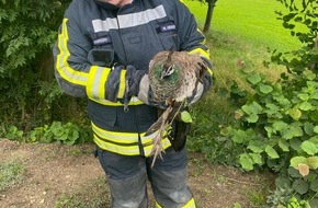 Feuerwehr Hattingen: FW-EN: Feuerwehr Hattingen hat breites Einsatzspektrum abgearbeitet