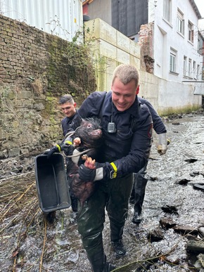 FW Hagen: Tierische Rettung, Schwein aus Notlage befreit