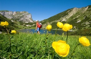 ALPBACHTAL SEENLAND Tourismus: Zu Fuß Tirol pur erleben - BILD