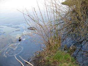 POL-SE: Halstenbek/Krupunder See - Mofa in See geworfen, Betriebsstoffe liefen aus und verursachten eine nicht unerhebliche Gewässerverunreinigung, Polizei sucht Zeugen