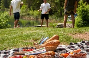 Ferris Bühler Communications: Die schönsten Picknick-Spots der Schweiz