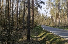Deutsche Bundesstiftung Umwelt (DBU): DBU: Verkehrsbeeinträchtigungen durch Waldarbeiten auf der DBU-Naturerbefläche Daubaner Wald