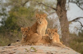 Feinreisen: S&uuml;dafrika mit Feinreisen stilvoll entdecken