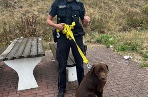 Autobahnpolizeiinspektion: API-TH: Entlaufenen Hund in Sicherheit gebracht