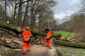 Feuerwehr Bochum: FW-BO: Umgestürzter Baum Am Wiesengrund