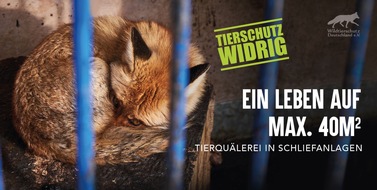 Wildtierschutz Deutschland e.V.: Mutiger Vorstoß in Niedersachsen: Verbot der Ausbildung von Jagdhunden am lebenden Wildtier