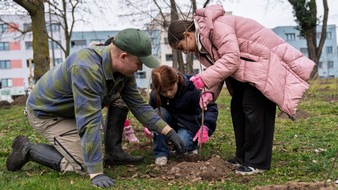 Bauhaus AG: BAUHAUS zieht positive Bilanz aus Waldinsel-Pflanzungen