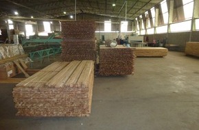 ShareWood Switzerland AG: Ein Meilenstein für ShareWood: Die Leimplattenfabrik in Cuiabá / Neue Ära für ShareWood (BILD)