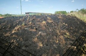 Polizeiinspektion Rotenburg: POL-ROW: Flächenbrand durch Böller