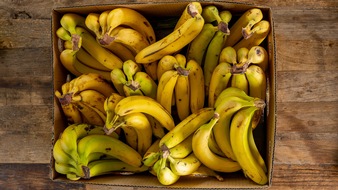 ZDF: Neue ZDF-Reportage: "Bananen – Genuss mit Beigeschmack"