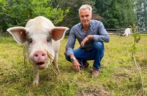 ZDF: Neue ZDF-Doku: Hannes Jaenicke im Einsatz für das Schwein