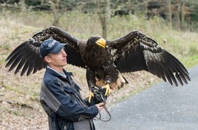 Erlebnispark Tripsdrill: Tierisch viel zu tun im Wildparadies