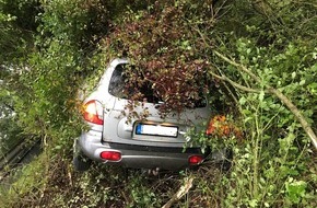 Polizeipräsidium Westpfalz: POL-PPWP: Auto landet in Gebüsch - Zeugen gesucht