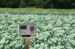 PlantCare AG: Breakthrough in agricultural irrigation: PlantCare's invention supports sustainable world food production (PICTURE)