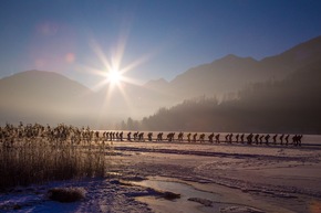 Winter am Weissensee: Paradies aus Eis und Schnee - BILD