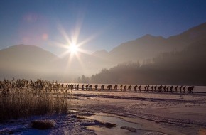 Weissensee Information: Winter am Weissensee: Paradies aus Eis und Schnee - BILD
