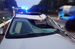 Polizeiinspektion Delmenhorst / Oldenburg - Land / Wesermarsch: POL-DEL: Autobahnpolizei Ahlhorn: Verkehrsunfall auf der A1 in Harpstedt durch Gegenstand von der Gegenfahrbahn +++ Zeugen gesucht
