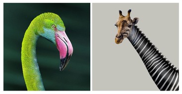 H World International: Pressemitteilung: "Hybreeting setzt neue Meeting-Standards"