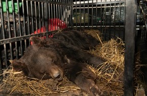 VIER PFOTEN - Stiftung für Tierschutz: VIER PFOTEN rettet misshandelte Tänzbärin in Pakistan