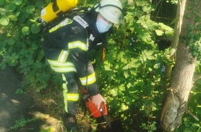 Freiwillige Feuerwehr Werne: FW-WRN: FEUER_1 - LZ1 - Brennt Baumstumpf am Eingang Solebad
