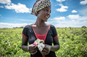 Aid by Trade Foundation: World Cotton Day: Cotton made in Africa Celebrates World’s Top Natural Textile Fibre on 7 October