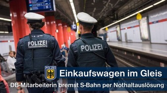 Bundespolizeidirektion München: Bundespolizeidirektion München: Einkaufswagen im Gleis / S-Bahn kommt rechtzeitig zum Stehen