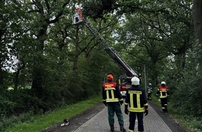 Freiwillige Feuerwehr Aurich: FW-AUR: Teile von Baumkrone absturzbedroht