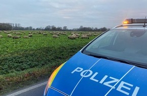 Kreispolizeibehörde Soest: POL-SO: Erwitte-Weckinghausen - Polizei ein abwechslungsreicher Beruf