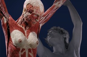 Institut für Plastination e. K.: KÖRPERWELTEN kehren nach 5 Jahren nach Deutschland zurück - als neu konzipierte Ausstellung