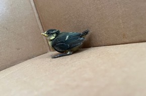 Kreispolizeibehörde Unna: POL-UN: Unna - Polizei rettet Vogelküken und bringt es ins Nest zurück