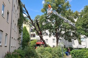 Feuerwehr M&uuml;nchen: FW-M: Baum st&uuml;rzt auf Haus (Berg am Laim)
