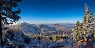 Südliche Weinstraße e.V.: Die Deutsche Weinstraße - auch im Winter ein Genuss!