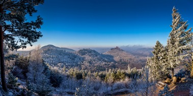 Südliche Weinstraße e.V.: Die Deutsche Weinstraße - auch im Winter ein Genuss!