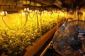 Polizeipräsidium Frankfurt am Main: POL-F: 090728 - 941 Fechenheim: die wahrscheinlich größte Marihuana- Plantage Frankfurts; Rauschgiftfahnder beschlagnahmen 1778 Marihuana-Pflanzen (Anhang beachten)