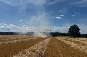 Feuerwehr Detmold: FW-DT: Feuer auf Stoppelfeld - mehrere Einheiten im Einsatz