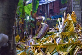 Regenzeit und Taifune auf den Philippinen: Projektteilnehmer von Global Micro Initiative e.V. betroffen